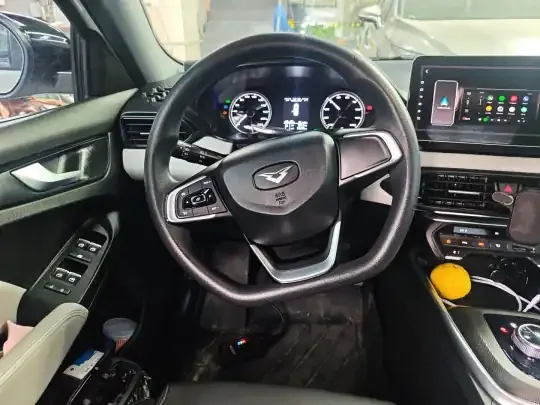 Cowin Xuandu EV 2024 (25500 км)