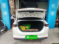 Cowin Xuandu EV 2024 (25500 км)