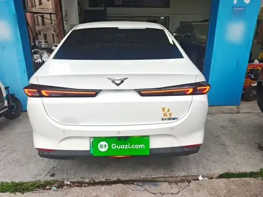 Cowin Xuandu EV 2024 (25500 км)