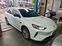 Cowin Xuandu EV 2024 (25500 км)