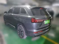 Landian E5 PLUS 2025 (3100 км)
