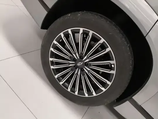 Chery Tiggo 9 C-DM 2025 (13600 км)