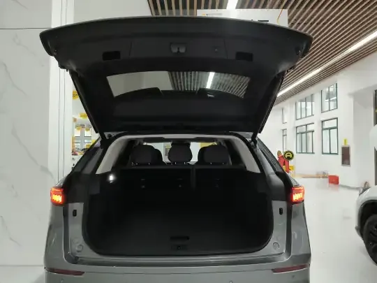Chery Tiggo 9 C-DM 2025 (13600 км)
