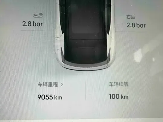 Lynk & Co Z20 2025 (9100 км)