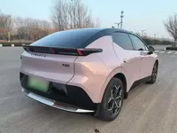 Lynk & Co Z20 2025 (67900 км)