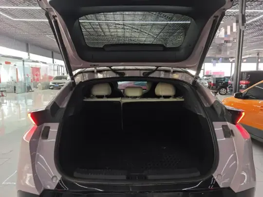 Lynk & Co Z20 2025 (67900 км)