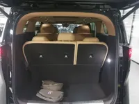 Denza D9 2025 (1500 км)