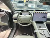 EXEED Star Era ES 2025 (9800 км)