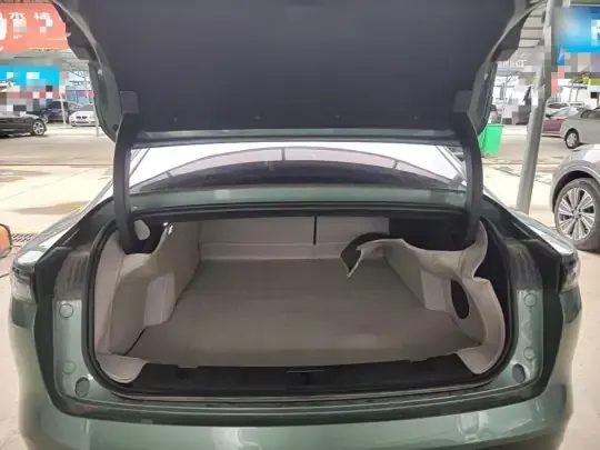 EXEED Star Era ES 2025 (9800 км)