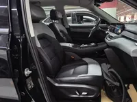 Ford Equator New Energy 2025 (49800 км)