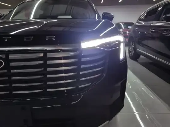 Ford Equator New Energy 2025 (49800 км)