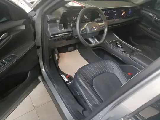 Ford Edge 2025 (4500 км)
