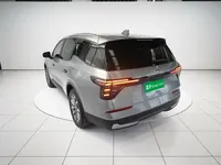 Ford Edge 2025 (4500 км)