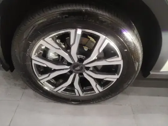 Ford Equator Sport New Energy 2025 (12800 км)