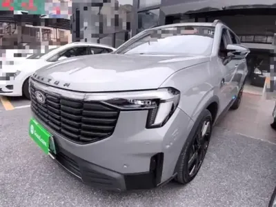 Ford Equator New Energy 2025 (6100 км)