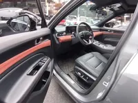 Ford Equator New Energy 2025 (6100 км)