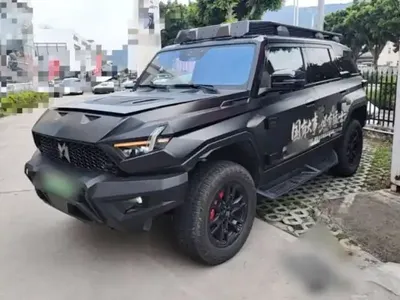 Brave warrior 917 2024 (28100 км)