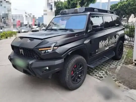 Brave warrior 917 2024 (28100 км)