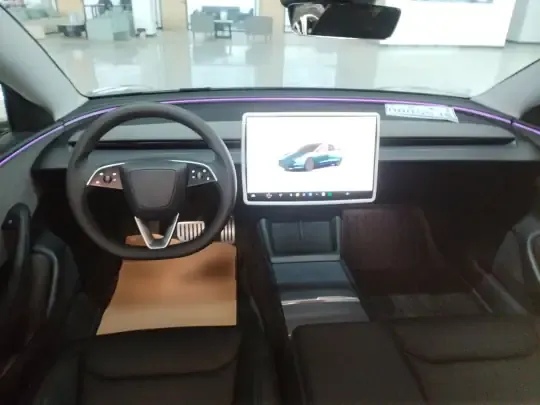 Tesla Model 3 2025 (16299 км)