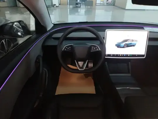 Tesla Model 3 2025 (16299 км)
