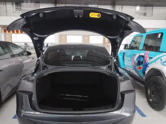 Tesla Model 3 2025 (16299 км)