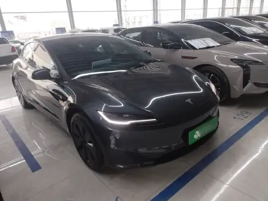 Tesla Model 3 2025 (16299 км)