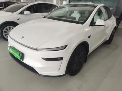 Tesla Model Y 2025 (16800 км)