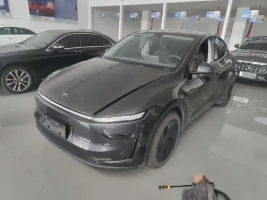 Tesla Model Y 2025 (31400 км)