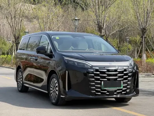 BYD Xia 2025 (6400 км)