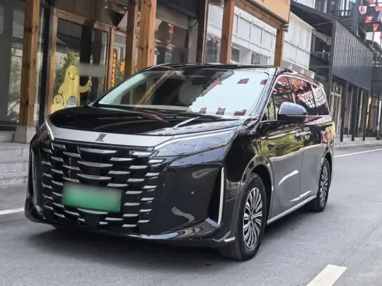 BYD Xia 2025 (3300 км)