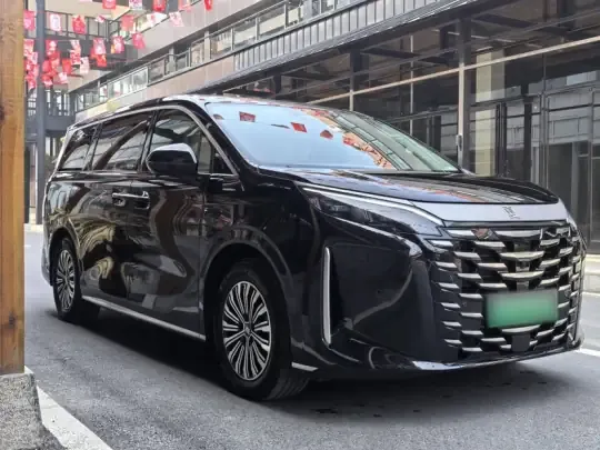 BYD Xia 2025 (3300 км)