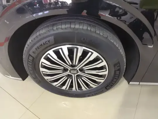 BYD Xia 2025 (3300 км)