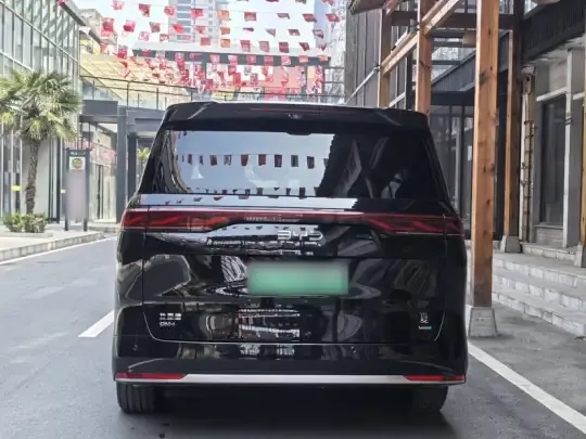 BYD Xia 2025 (3300 км)