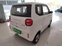 LINGBOX uni 2025 (100 км)