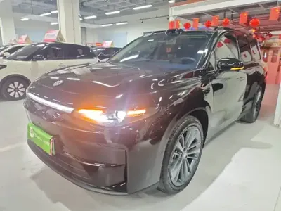 Leapmotor C16 2024 (26800 км)
