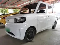 Wuling Zhiguang New Energy 2025 (8100 км)