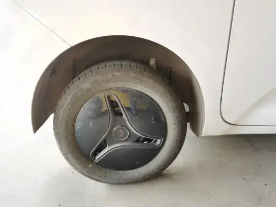 Wuling Zhiguang New Energy 2025 (8100 км)