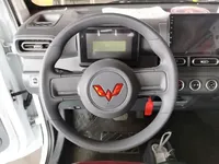 Wuling Zhiguang New Energy 2025 (8100 км)