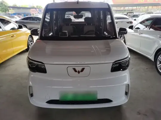 Wuling Zhiguang New Energy 2025 (8100 км)