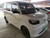 Wuling Zhiguang New Energy 2025 (8100 км)