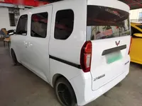 Wuling Zhiguang New Energy 2025 (8100 км)