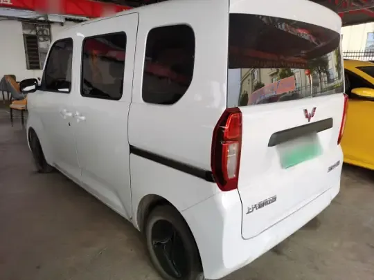 Wuling Zhiguang New Energy 2025 (8100 км)