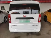 Wuling Zhiguang New Energy 2025 (8100 км)