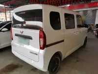 Wuling Zhiguang New Energy 2025 (8100 км)