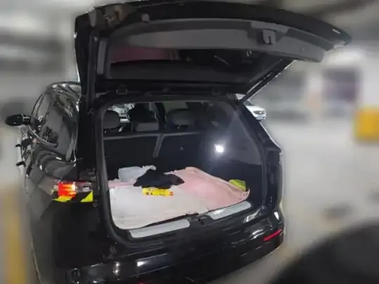 Dongfeng e? e?008 2025 (9500 км)
