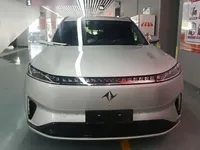 Dongfeng eπ eπ008 2025 (16300 км)