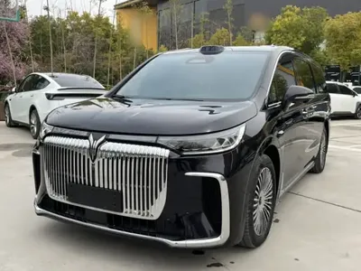 VOYAH Dream 2025 (24800 км)