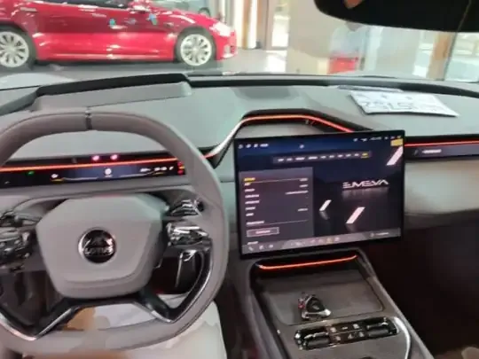 Lotus EMEYA 2025 (23400 км)