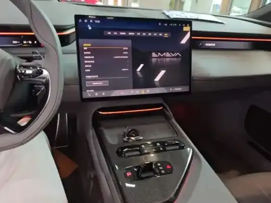 Lotus EMEYA 2025 (23400 км)