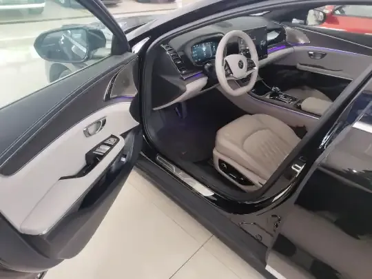 BYD Han 2025 (5200 км)